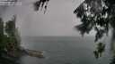 ./images/koeye/fitz-hugh/20260725/fitz-hugh20260725_185002M.jpg