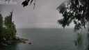 ./images/koeye/fitz-hugh/20260725/fitz-hugh20260725_203001M.jpg