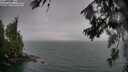 ./images/koeye/fitz-hugh/20260725/fitz-hugh20260725_204501M.jpg