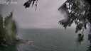 ./images/koeye/fitz-hugh/20260725/fitz-hugh20260725_205001M.jpg