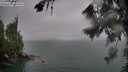 ./images/koeye/fitz-hugh/20260725/fitz-hugh20260725_205501M.jpg