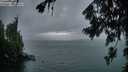 ./images/koeye/fitz-hugh/20260725/fitz-hugh20260725_213501M.jpg
