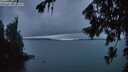 ./images/koeye/fitz-hugh/20260725/fitz-hugh20260725_215501M.jpg