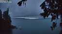 ./images/koeye/fitz-hugh/20260725/fitz-hugh20260725_220001M.jpg