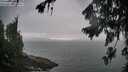 ./images/koeye/fitz-hugh/20260726/fitz-hugh20260726_064502M.jpg