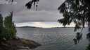./images/koeye/fitz-hugh/20260726/fitz-hugh20260726_072501M.jpg