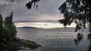 ./images/koeye/fitz-hugh/20260726/fitz-hugh20260726_075002M.jpg