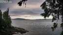 ./images/koeye/fitz-hugh/20260726/fitz-hugh20260726_075501M.jpg