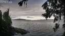 ./images/koeye/fitz-hugh/20260726/fitz-hugh20260726_080501M.jpg