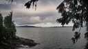 ./images/koeye/fitz-hugh/20260726/fitz-hugh20260726_081502M.jpg