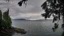./images/koeye/fitz-hugh/20260726/fitz-hugh20260726_084001M.jpg