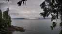 ./images/koeye/fitz-hugh/20260726/fitz-hugh20260726_090501M.jpg