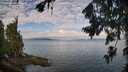 ./images/koeye/fitz-hugh/20260726/fitz-hugh20260726_093001M.jpg