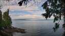./images/koeye/fitz-hugh/20260726/fitz-hugh20260726_093501M.jpg
