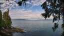 ./images/koeye/fitz-hugh/20260726/fitz-hugh20260726_094501M.jpg