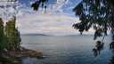 ./images/koeye/fitz-hugh/20260726/fitz-hugh20260726_095001M.jpg