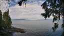 ./images/koeye/fitz-hugh/20260726/fitz-hugh20260726_095501M.jpg