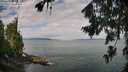 ./images/koeye/fitz-hugh/20260726/fitz-hugh20260726_101002M.jpg