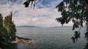 ./images/koeye/fitz-hugh/20260726/fitz-hugh20260726_104502M.jpg
