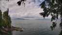 ./images/koeye/fitz-hugh/20260726/fitz-hugh20260726_110501M.jpg