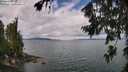 ./images/koeye/fitz-hugh/20260726/fitz-hugh20260726_114001M.jpg