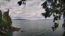 ./images/koeye/fitz-hugh/20260726/fitz-hugh20260726_115001M.jpg