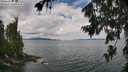 ./images/koeye/fitz-hugh/20260726/fitz-hugh20260726_115501M.jpg