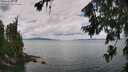 ./images/koeye/fitz-hugh/20260726/fitz-hugh20260726_122501M.jpg