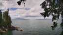 ./images/koeye/fitz-hugh/20260726/fitz-hugh20260726_124001M.jpg