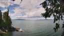 ./images/koeye/fitz-hugh/20260726/fitz-hugh20260726_124502M.jpg