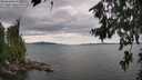 ./images/koeye/fitz-hugh/20260726/fitz-hugh20260726_145501M.jpg