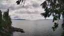 ./images/koeye/fitz-hugh/20260726/fitz-hugh20260726_153001M.jpg