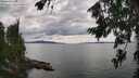 ./images/koeye/fitz-hugh/20260726/fitz-hugh20260726_154502M.jpg