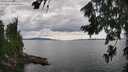 ./images/koeye/fitz-hugh/20260726/fitz-hugh20260726_155001M.jpg