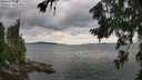 ./images/koeye/fitz-hugh/20260726/fitz-hugh20260726_162502M.jpg