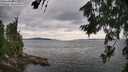 ./images/koeye/fitz-hugh/20260726/fitz-hugh20260726_163002M.jpg