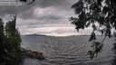 ./images/koeye/fitz-hugh/20260726/fitz-hugh20260726_183501M.jpg