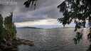 ./images/koeye/fitz-hugh/20260726/fitz-hugh20260726_202002M.jpg