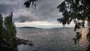 ./images/koeye/fitz-hugh/20260726/fitz-hugh20260726_203502M.jpg