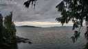 ./images/koeye/fitz-hugh/20260726/fitz-hugh20260726_204501M.jpg