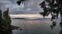 ./images/koeye/fitz-hugh/20260726/fitz-hugh20260726_210501M.jpg