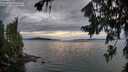 ./images/koeye/fitz-hugh/20260726/fitz-hugh20260726_212501M.jpg