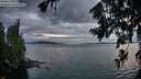 ./images/koeye/fitz-hugh/20260726/fitz-hugh20260726_214501M.jpg