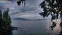 ./images/koeye/fitz-hugh/20260726/fitz-hugh20260726_215002M.jpg