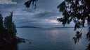 ./images/koeye/fitz-hugh/20260726/fitz-hugh20260726_220001M.jpg