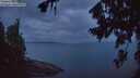 ./images/koeye/fitz-hugh/20260727/fitz-hugh20260727_051001M.jpg