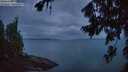 ./images/koeye/fitz-hugh/20260727/fitz-hugh20260727_051501M.jpg