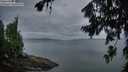 ./images/koeye/fitz-hugh/20260727/fitz-hugh20260727_053002M.jpg