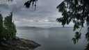 ./images/koeye/fitz-hugh/20260727/fitz-hugh20260727_055001M.jpg
