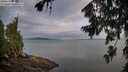 ./images/koeye/fitz-hugh/20260727/fitz-hugh20260727_064501M.jpg